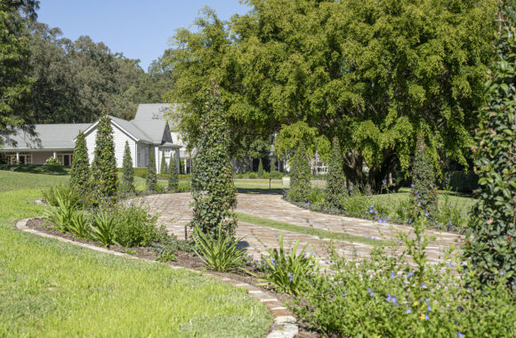 Landscaped path leading to a house on Formosa Road, Brisbane.