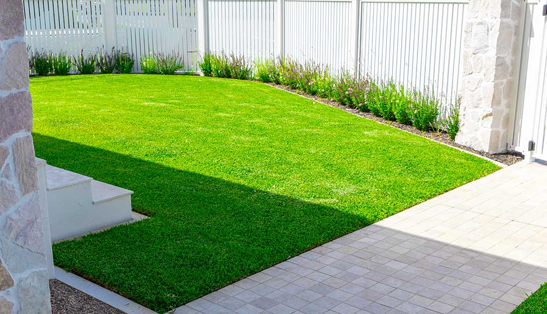 Manly Esplanade landscaping manicured lawn with tiled path and white fence.