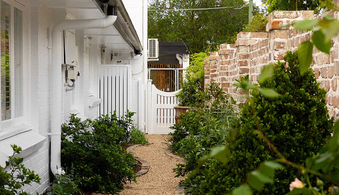 Pathway with greenery along a white home near a recycled brick fence at Hazelmere Parade, Brisbane.